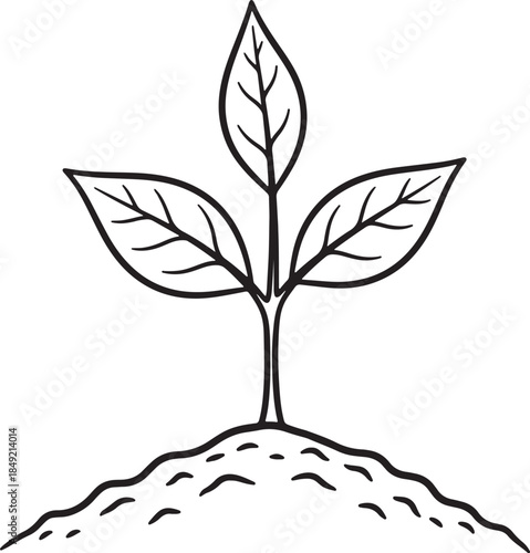 Black and white line of a young plant seedling with three leaves emerging from the soil sprout growth also transparent background