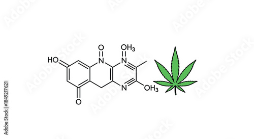 Scientific illustration showing a complex chemical molecular structure next to a green seven pointed cannabis leaf on white background.