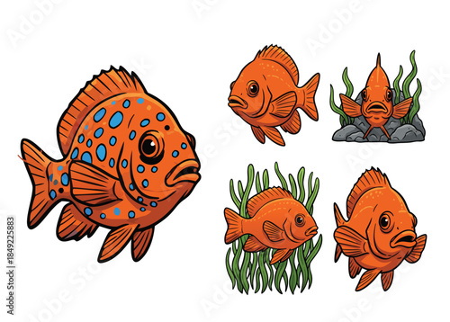 Collection of Orange Goldfish Illustrations.