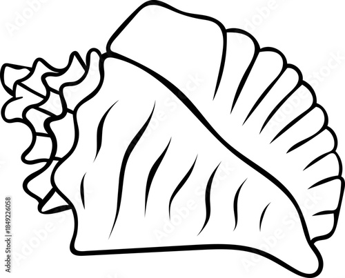 Simple black and white icon set as a doodle, a detailed seashell in sketch style representing underwater marine life. Minimalist illustration for ocean themes