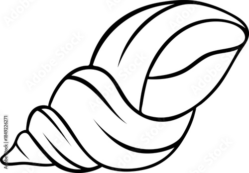 Doodle style illustration of a classic seashell, simple black and white sketch icon representing underwater marine life. Hand-drawn element for ocean concepts