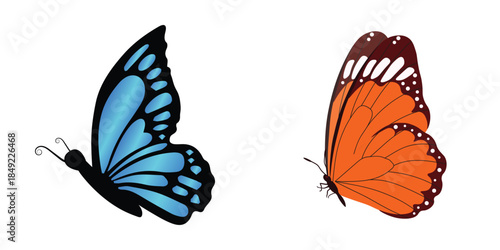 Colorful butterflies flying on a white background