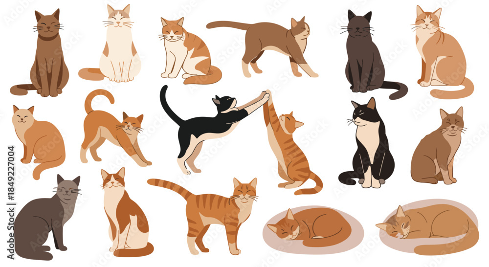 Obraz premium Big collection of various cat breeds in different poses like sitting, stretching, and sleeping for pet lover and veterinary themes.