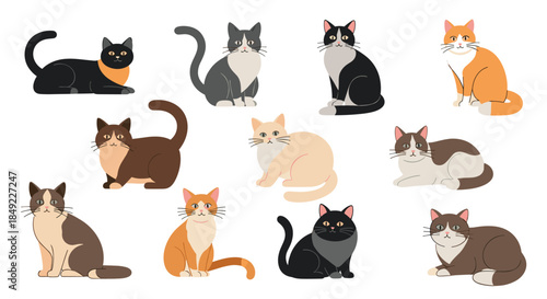 Group of different cat breeds and coat colors in various sitting and lying poses isolated on a clean white background for pet lovers.