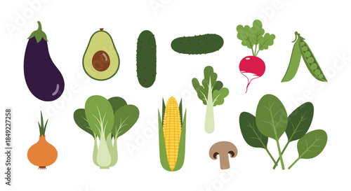 Selection of various fresh vegetable icons including eggplant, avocado, cucumber, radish, peas, spinach, corn, mushroom, and onion.