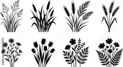 Black floral silhouettes of meadow grass, wild flowers, tulips, daisies, and wheat stalks collection for botanical nature design and spring vector decoration,