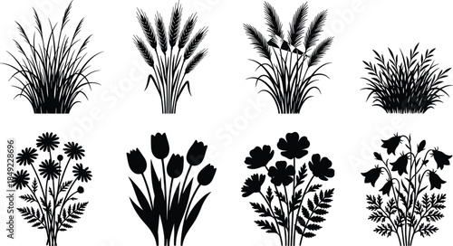 Set of black botanical plant silhouettes including field grass wheat tulips daisies and wildflowers for CAD drawing flat vector illustration