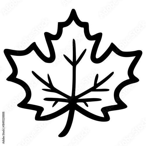 doodle maple leaf illustration hand drawn outline vector