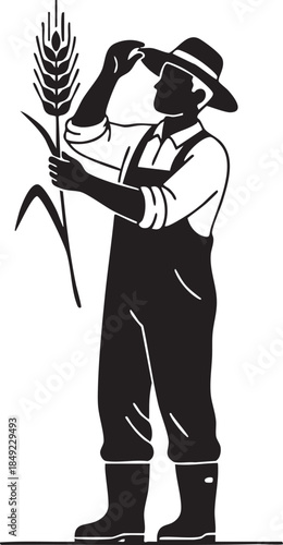 Farmer Examining Stalk of Wheat Crop Quality Inspection Silhouettes isolated on white background