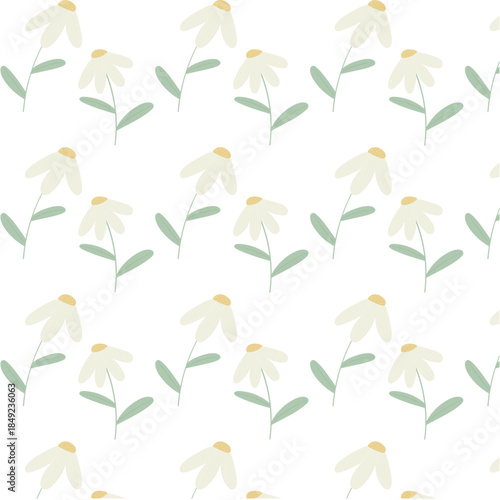 Daisy seamless pattern with floral elements. Baby shower packaging for birthdays and holidays. High-quality and ideal for spring and summer themes.