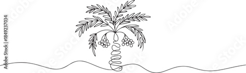 One continuous line drawing of Date Palm tree vector illustration. one line Art icon drawing