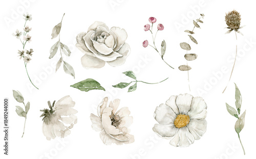 Hand drawn loose watercolor set of off white flowers, green leaves, buds and seed pods. Perfect for clipart, DIY invitation, planner sticker, logo design, packaging or wedding decor.