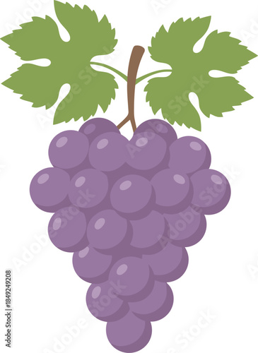 Bunch of Purple Grapes with Leaves.