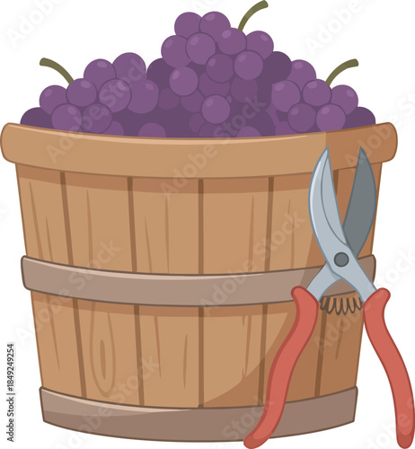 Cartoon illustration of a wooden barrel filled with fresh purple grapes and pruning shears.