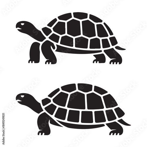 Cute Turtle Cartoon Vector Illustration