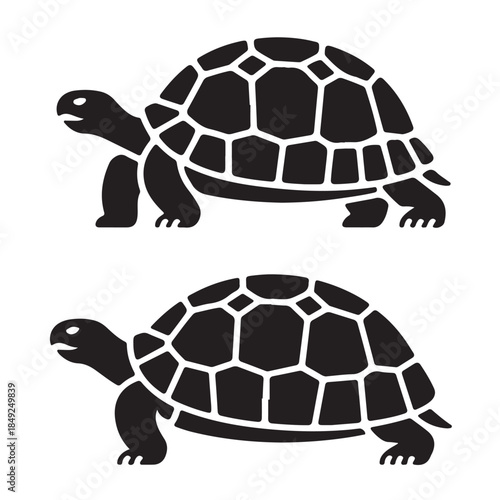 Turtle Vector Illustration in Flat Style