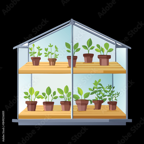 Indoor glass greenhouse showcase with multiple shelves of small potted green plants