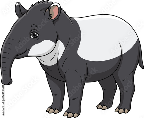 Cartoon Malayan tapir with black and white body, trunk-like snout, flat vector illustration, endangered animal character, Southeast Asia wildlife