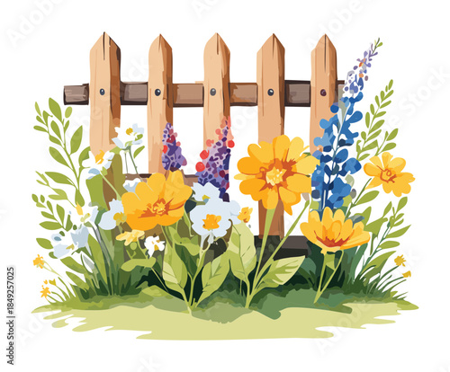 Colorful spring flowers blooming near a rustic garden fence under the bright sunlight of nature