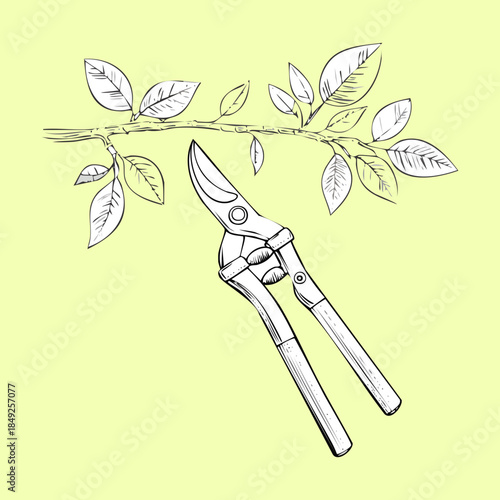 Hand drawn sketch of garden pruning shears cutting a leafy tree branch in a nature environment