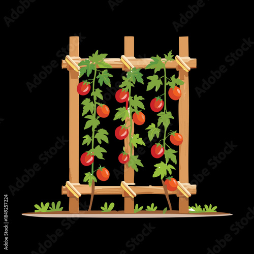 Organic tomato plants climbing a vertical wooden trellis for efficient vegetable growth in a nature garden