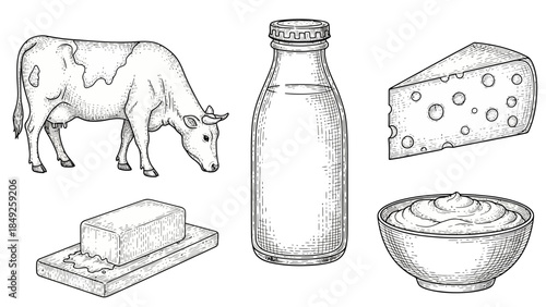 Glass jars and bottles of milk and cheese dairy products isolated on a white background