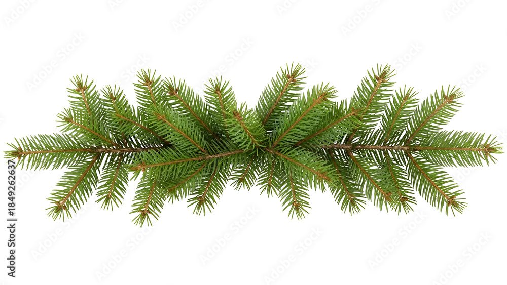 Naklejka premium Fresh green fir branch isolated on white background