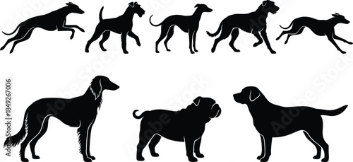 Dog breed silhouette set, running and standing canine poses, domestic animals collection, isolated white background, black vector illustration design art