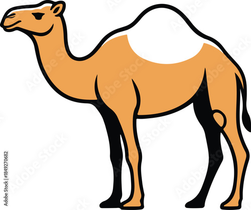 Camel standing in profile, a dromedary desert animal illustration with a distinctive single hump, isolated on a white background.