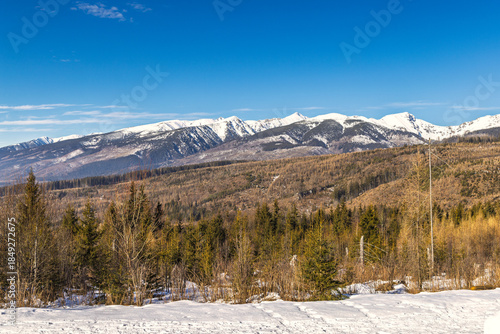 Wallpaper Mural Snowy mountain peaks rise above a winter landscape with evergreen trees and a blanket of snow under a brilliant blue sky on a clear day. High Tatras National Park, Slovakia, Europe. Torontodigital.ca