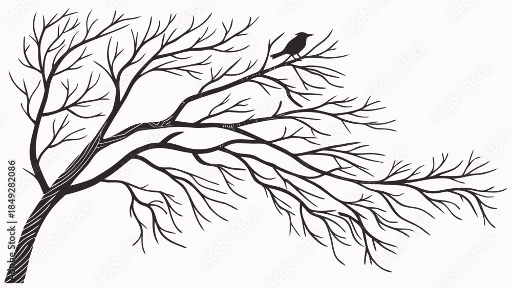 Fototapeta premium Black and white illustration of a bare tree branch with a small bird perched on it.