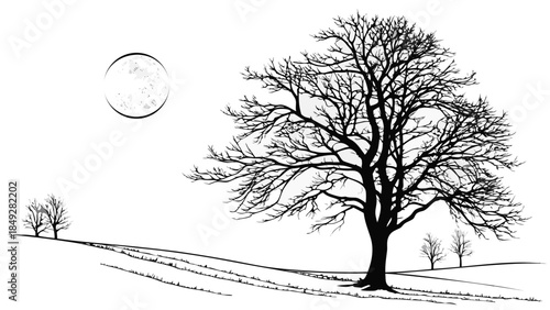 Black and white illustration of a bare tree in a winter landscape.