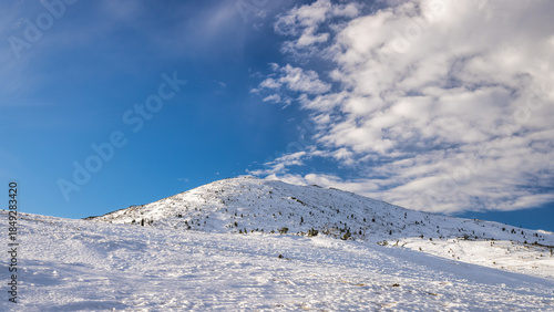 Wallpaper Mural Snowy mountain peak under a vibrant blue sky. The Mala Fatra national park in northwest of Slovakia, Europe. Torontodigital.ca