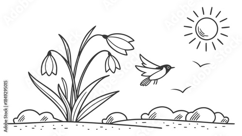 Spring nature doodle with snowdrop flowers, flying bird, and sun. Hand-drawn outline illustration.