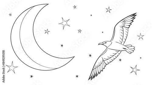 Flying seagull, crescent moon, and stars line art. Night sky outline illustration for coloring book. Simple celestial bird design.