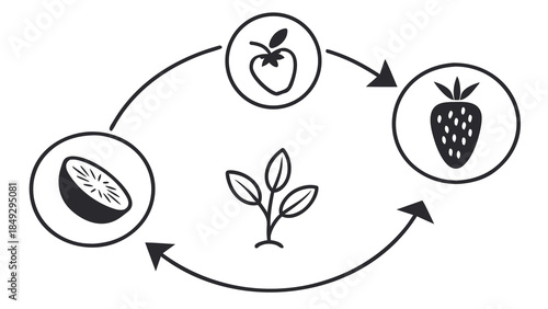 Plant Growth and Fruit Production Cycle Icons: Apple, Strawberry, Kiwi