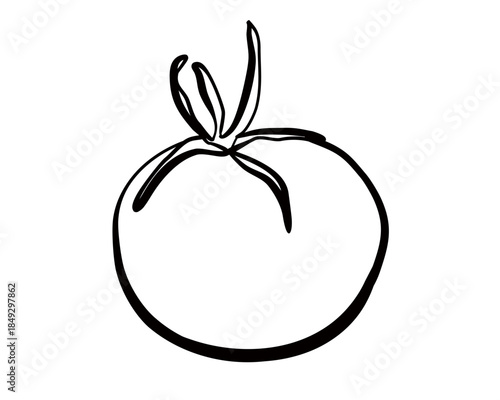 Tomato icon in doodle sketch style. Vector whimsy illustration of an isolated tomato.