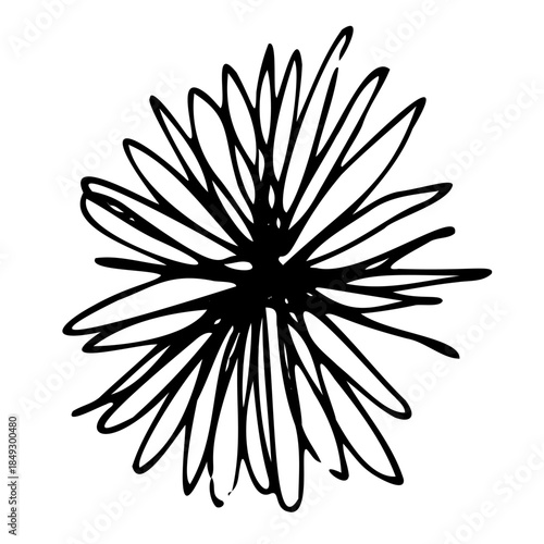 Hand drawn abstract black flower isolated on white background.