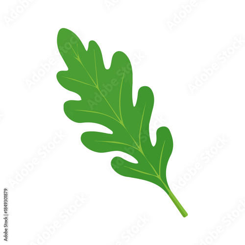 Simple_flat_2D_icon_arugula_leaf_isolated_on_a_white_Vector, eps, flat design, animation design, simple flat 2D icon, minimalist design, clipart, illustration.
