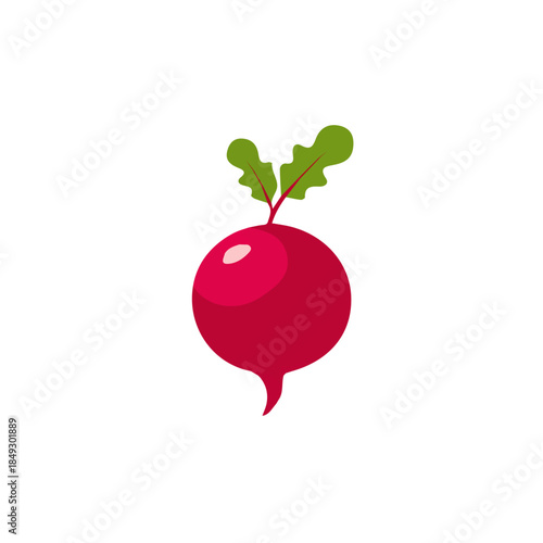 zara_ak_Simple_flat_2D_icon_beetroot_isolated_Vector, eps, flat design, animation design, simple flat 2D icon, minimalist design, clipart, illustration.