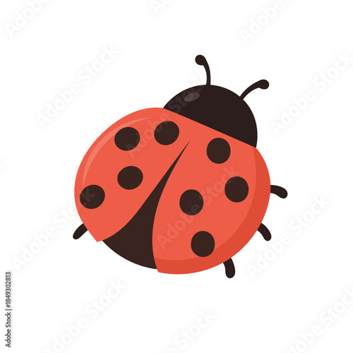 Ladybug vector illustration of cute red ladybug with black spots, smiling ladybug insect isolated on white background, spring nature element
