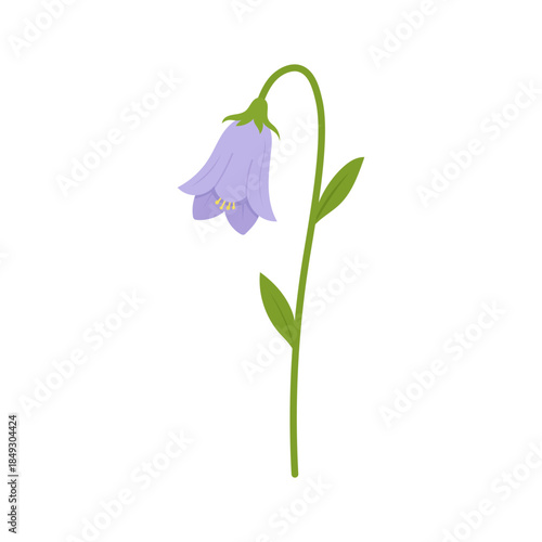 Purple bellflower illustration in flat vector style with curved stem and soft violet petals, delicate wildflower for spring botanical designs, gentle floral element for prints, stickers, 