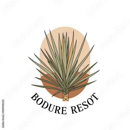 Illustration of a plant with long leaves in a circular frame with text