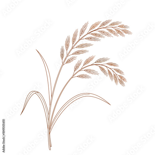 A serene illustration of wheat stalks swaying gently in the breeze on a white background