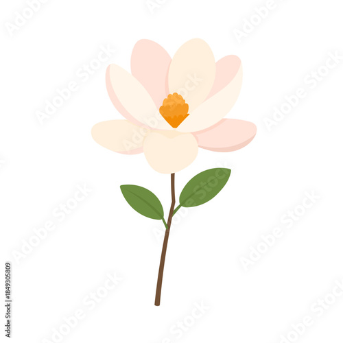 Soft magnolia flower illustration in flat vector style with pastel petals and green leaves, magnolia symbol of spring elegance for branding, wedding decor, stationery, minimal floral design isolated 