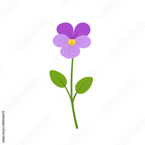 Purple violet flower illustration with green leaves, flat vector botanical design isolated on white background, simple spring floral icon for decoration and branding
