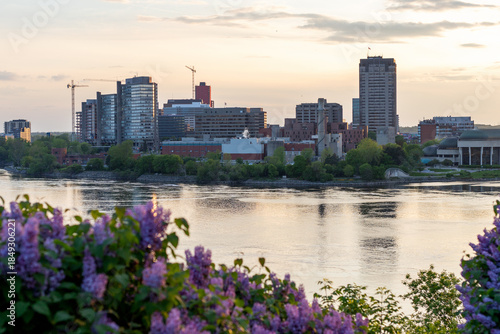 Ottawa River and Gatineau cityscape in Quebec in Canada. Cityscape in spring with blooming lilacs during sunset