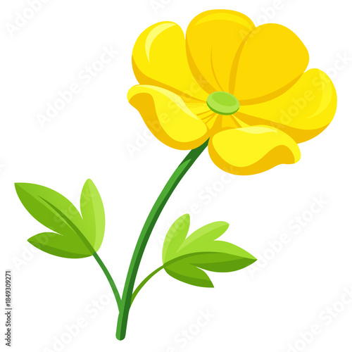 Creative Detailed Meadow Buttercup Vector Illustration | Wildflower Botanical Artwork | Nature Floral Design
