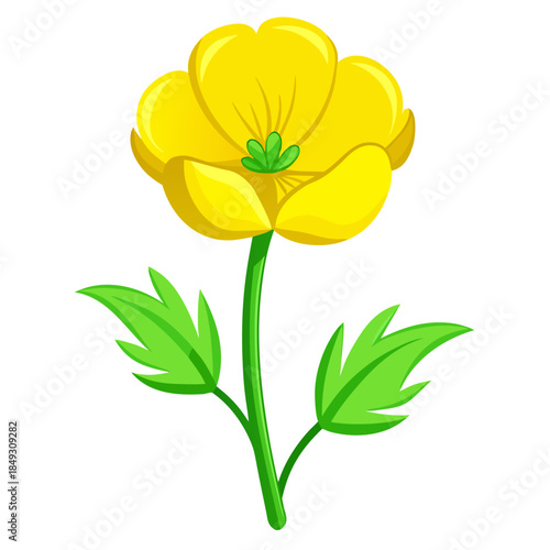 Creative Detailed Meadow Buttercup Vector Illustration | Wildflower Botanical Artwork | Nature Floral Design