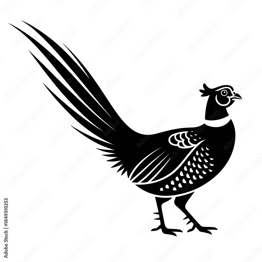 Obraz premium Black and White Elegant Pheasant Illustration with Ornamental Details on a White Background